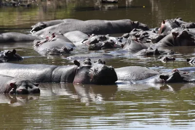 DSC_3503 (Large).JPG